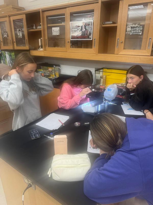 Zoology students doing their own research