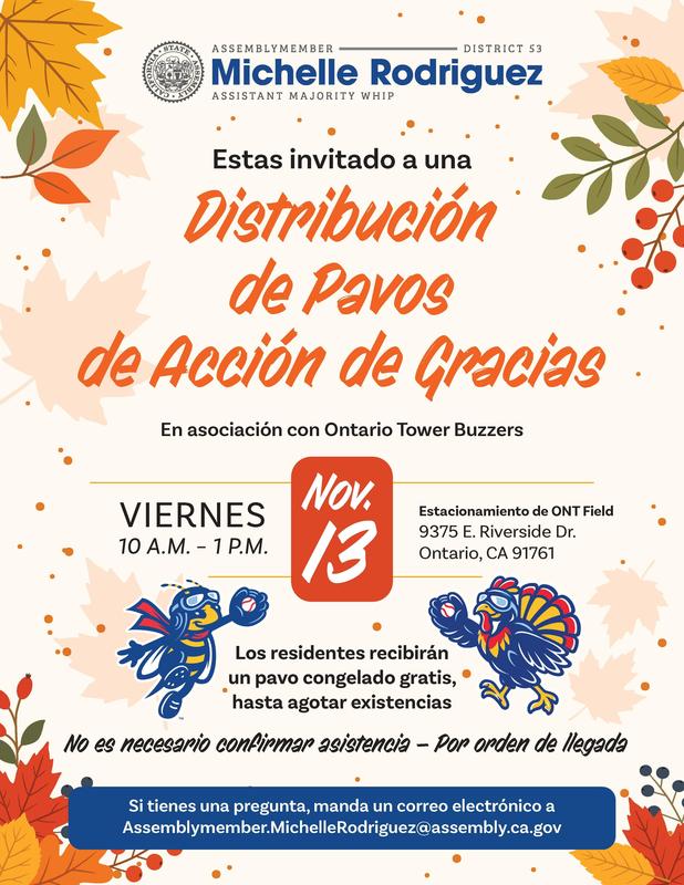 free turkey flyer spanish