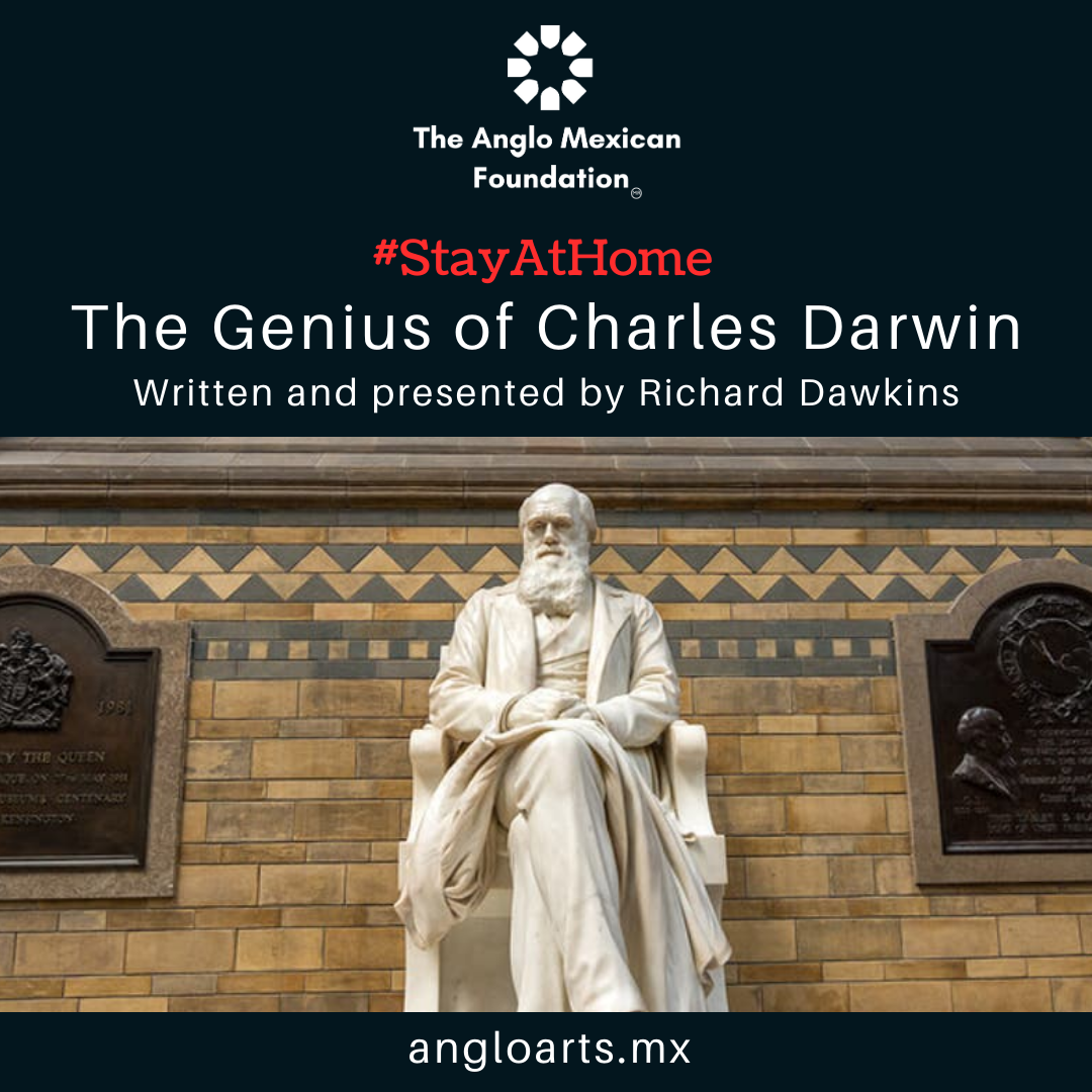 darwin