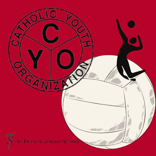 volleyball on red background