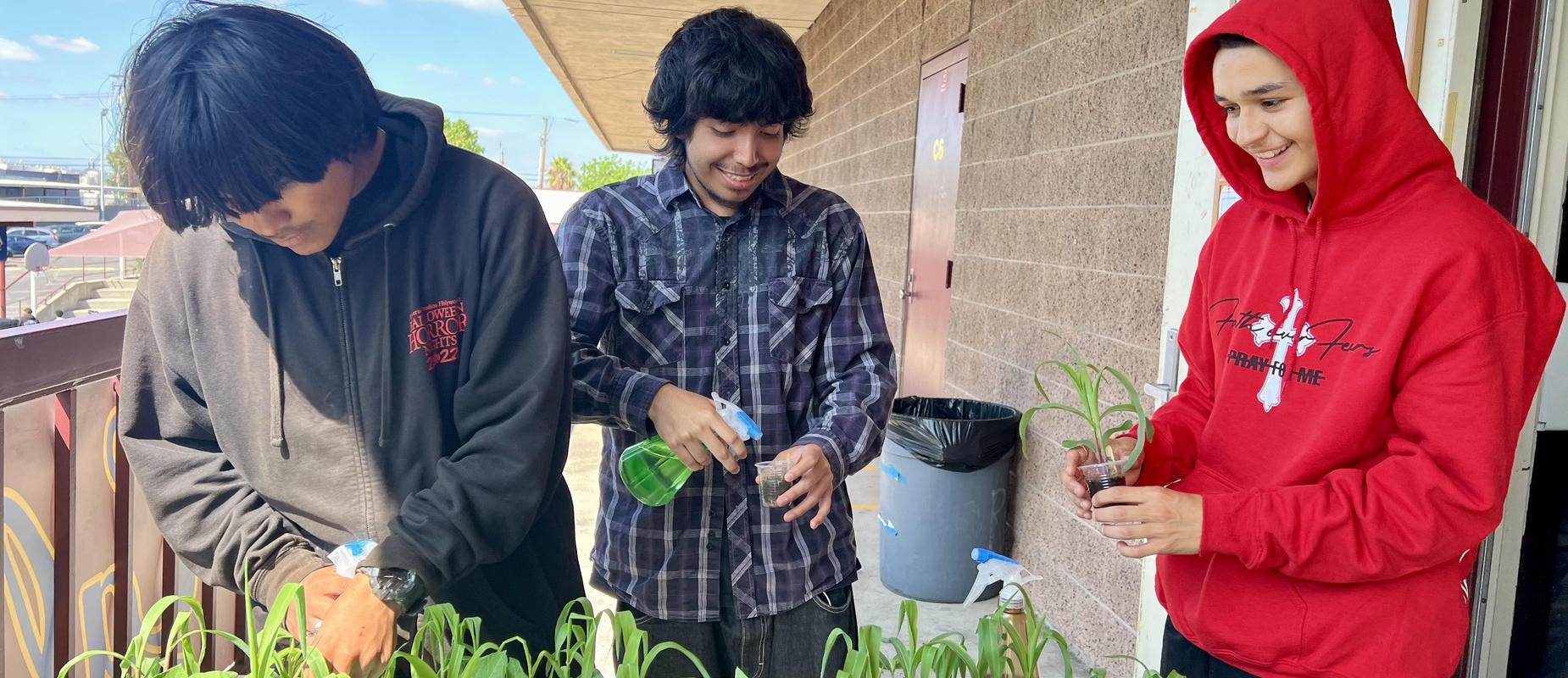 Ms. Vo's Science Class Project