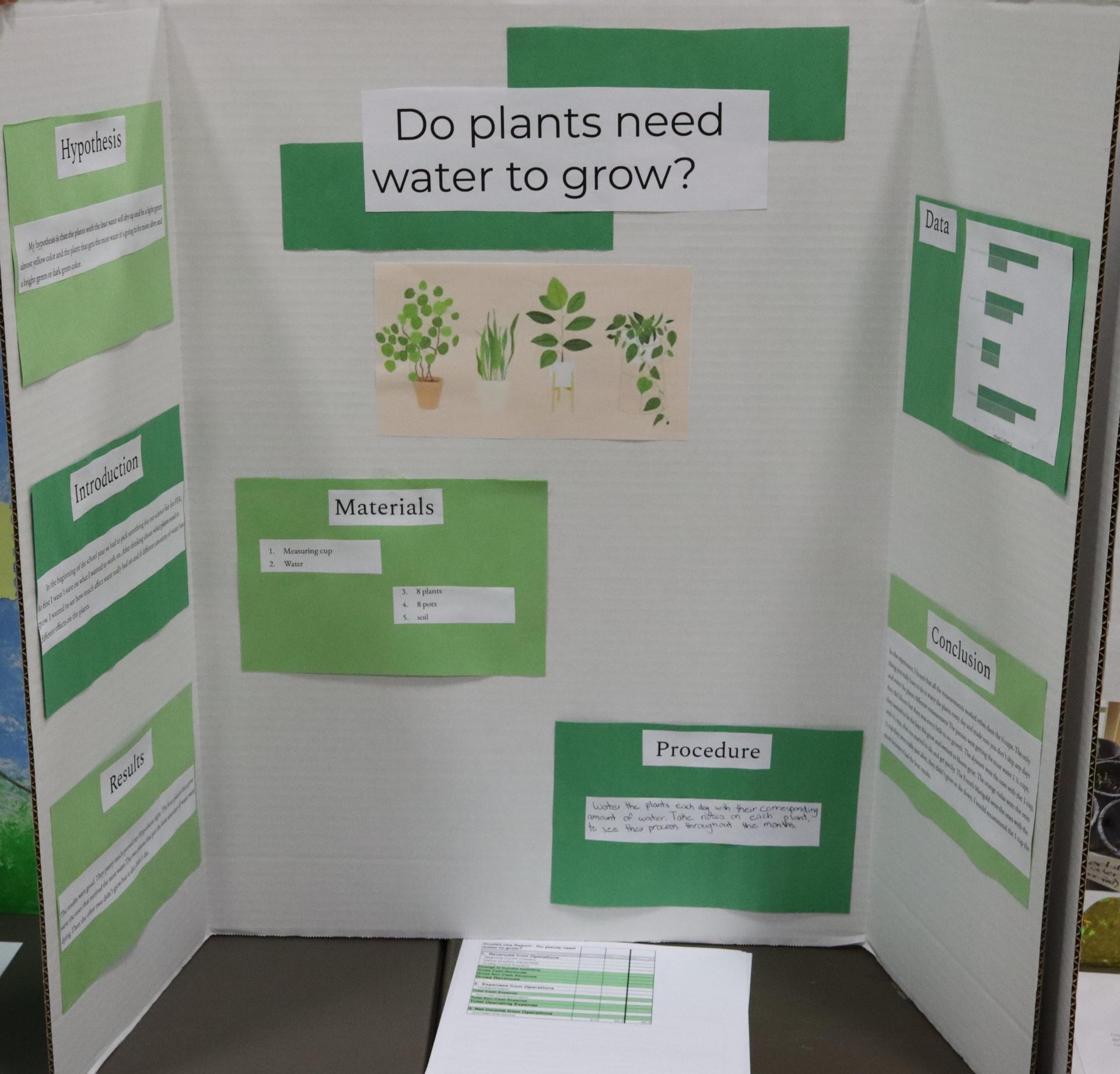 A Supervised Agricultural Experience trifold display