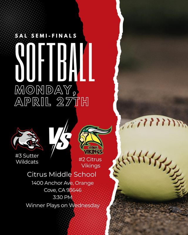 Softball Semi Final Flyer