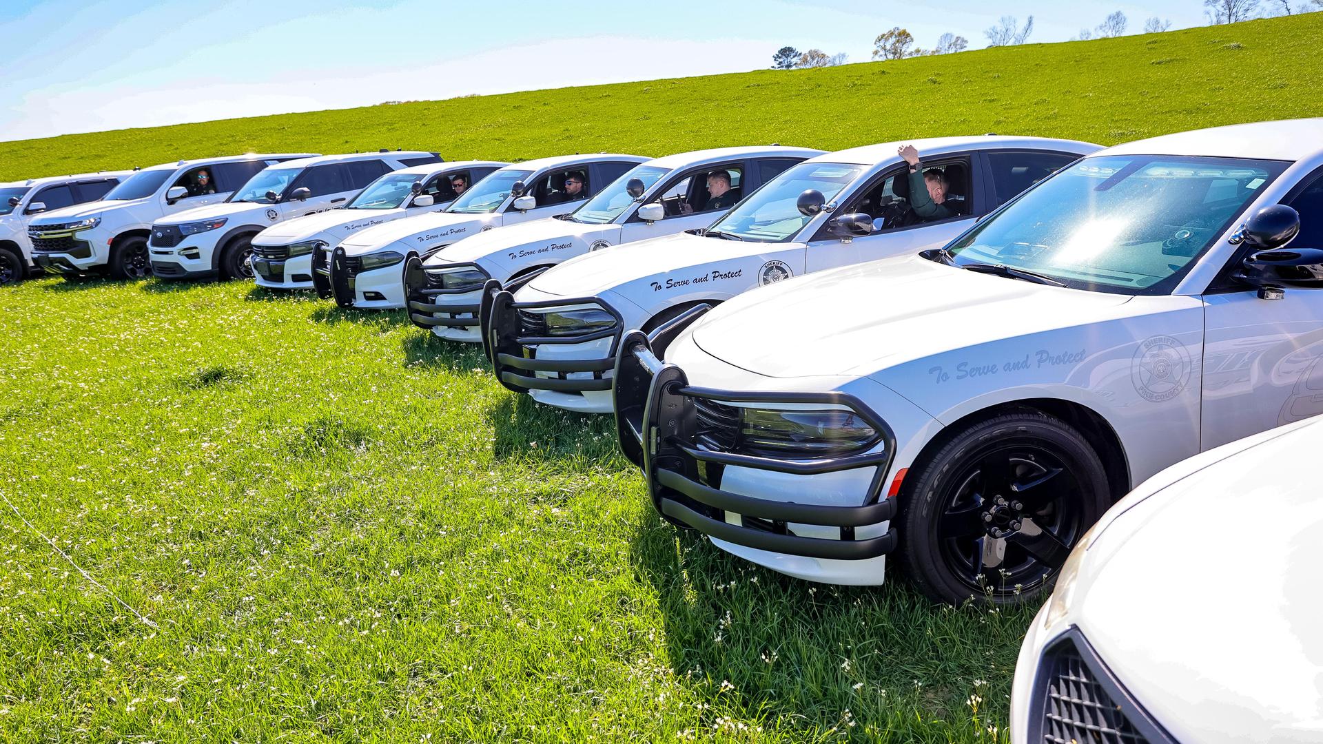 Fleet in the pasture