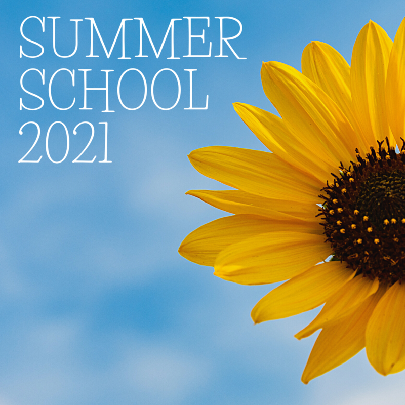 Summer School 2021 Featured Photo