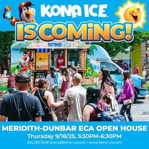 Kona Ice Flyer