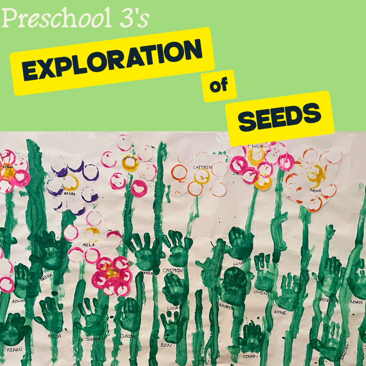 Little Green Thumbs: Preschool 3 Classroom Garden in Bloom