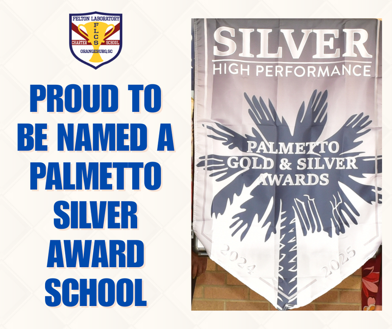 Palmetto Silver School Award