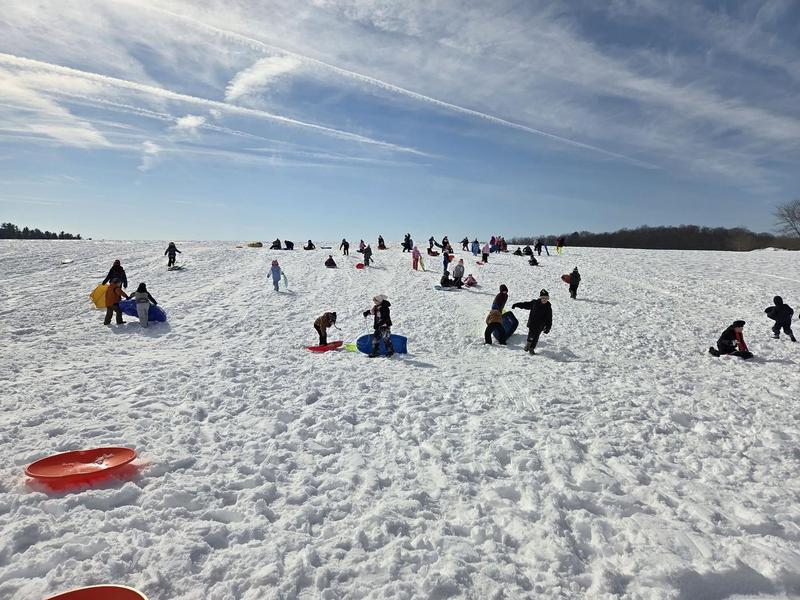 kids sled riding on a hill on a sunny day