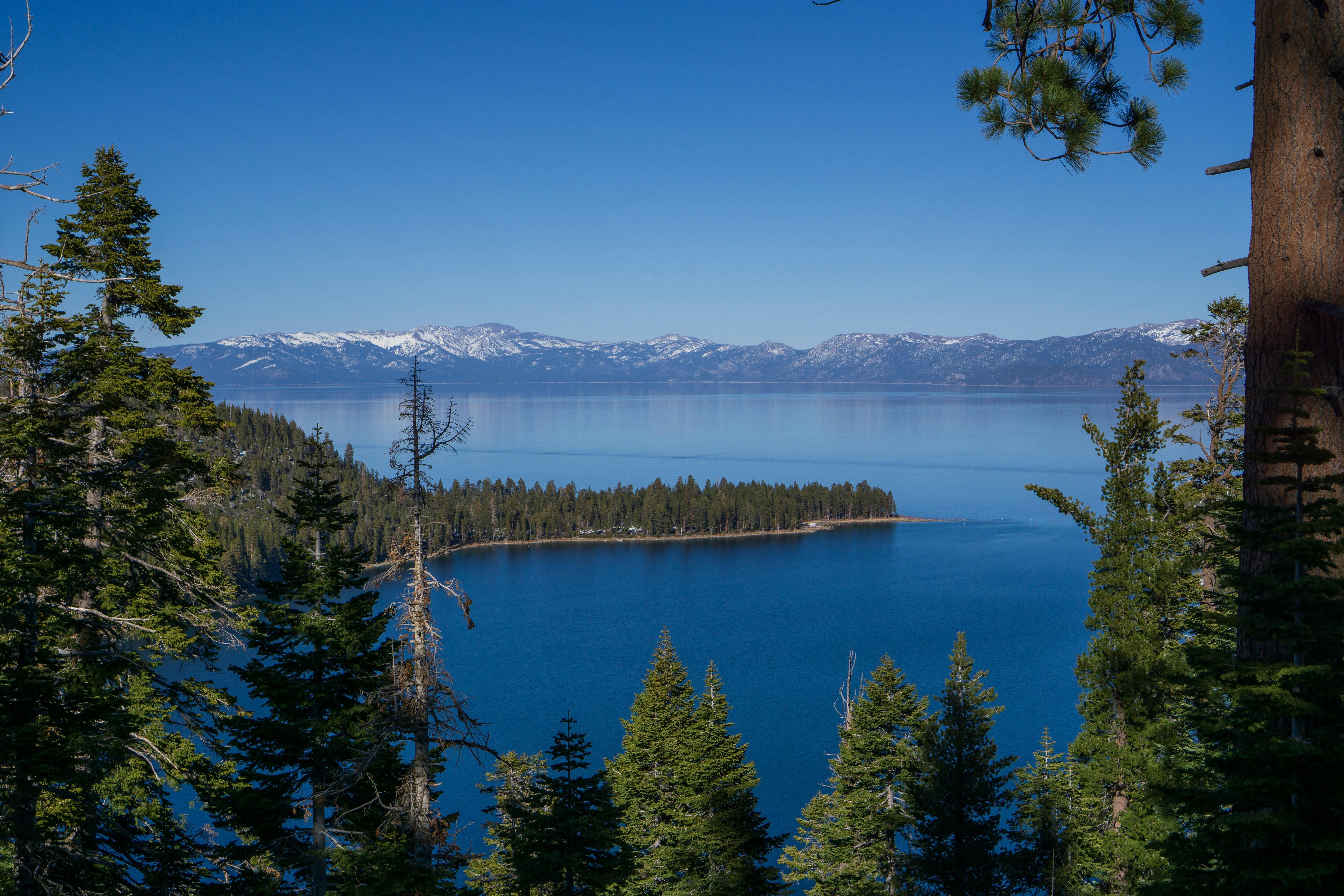 Register for CAWS 2026 IB Workshops in San Diego and Lake Tahoe Image