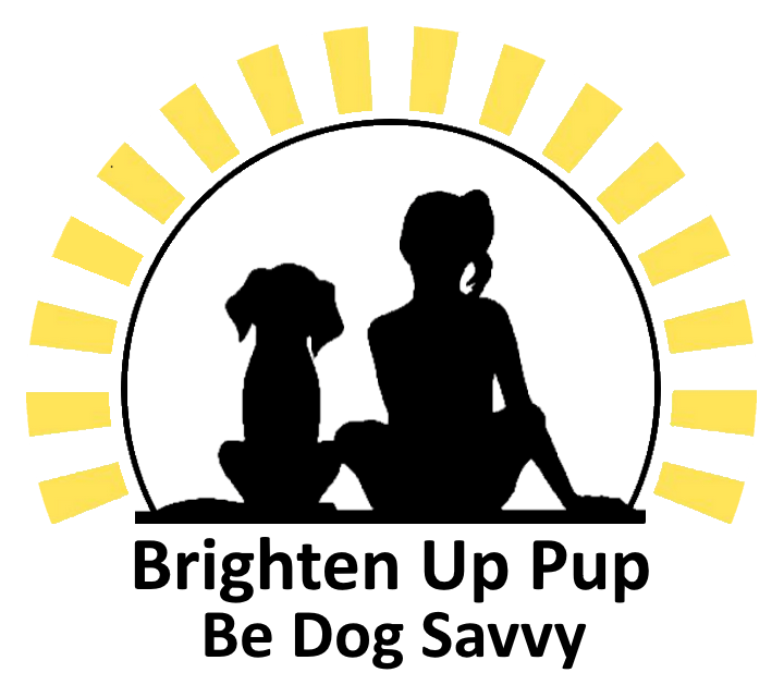 Be Dog Savvy Summer Camp!