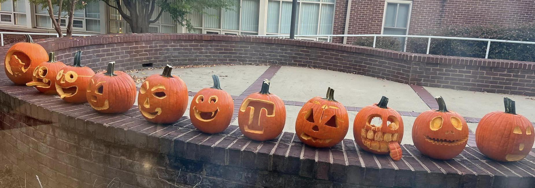 Pumpkins