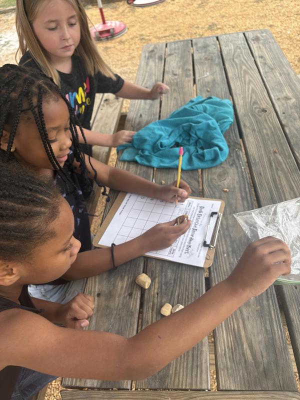 Rock Detectives