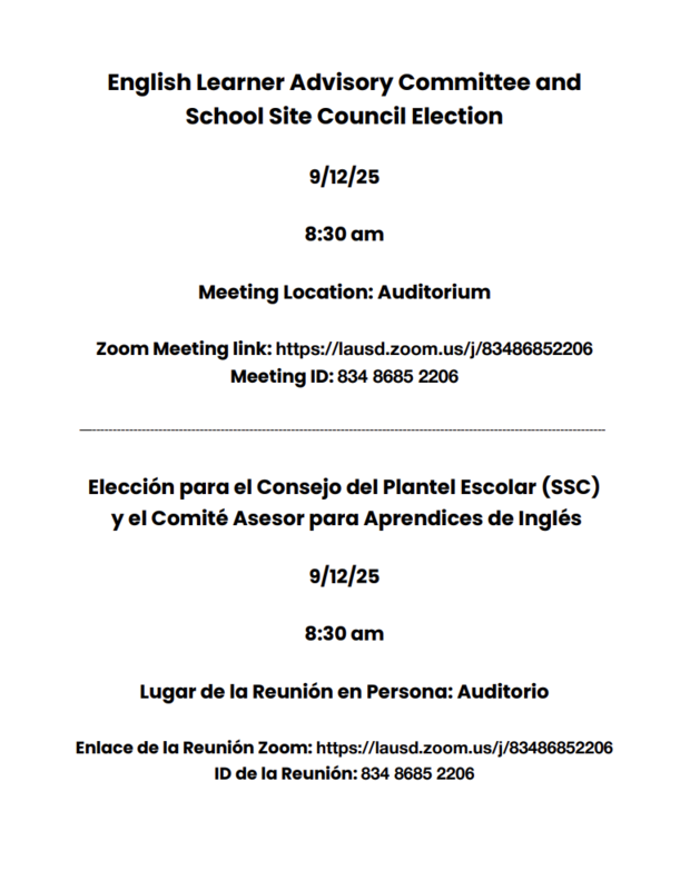 Elections Flyer