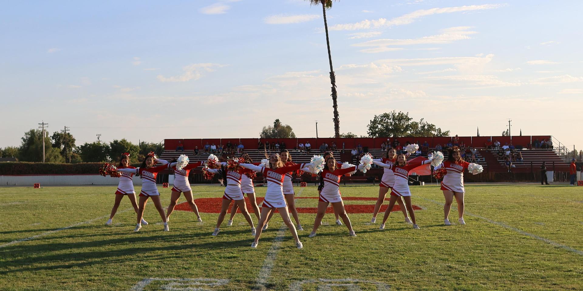 Junior Varsity Cheerleaders in action at halftime 6
