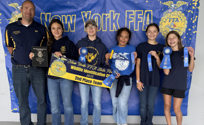 FFA winners
