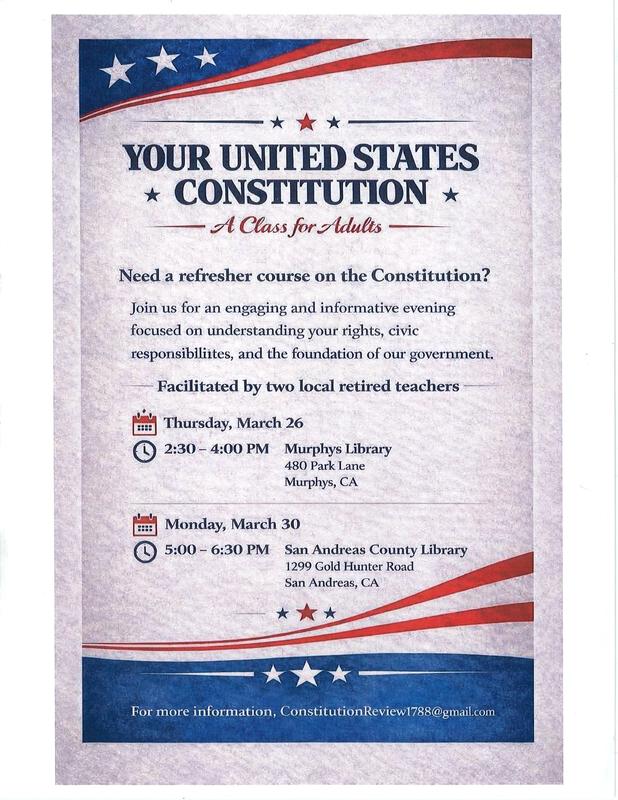 Your Constitution Flyer
