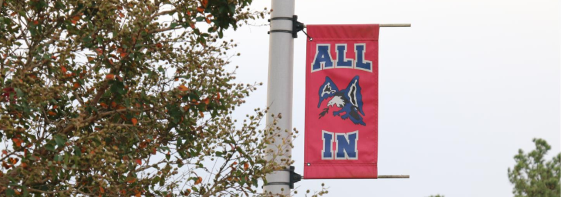 All In Flag