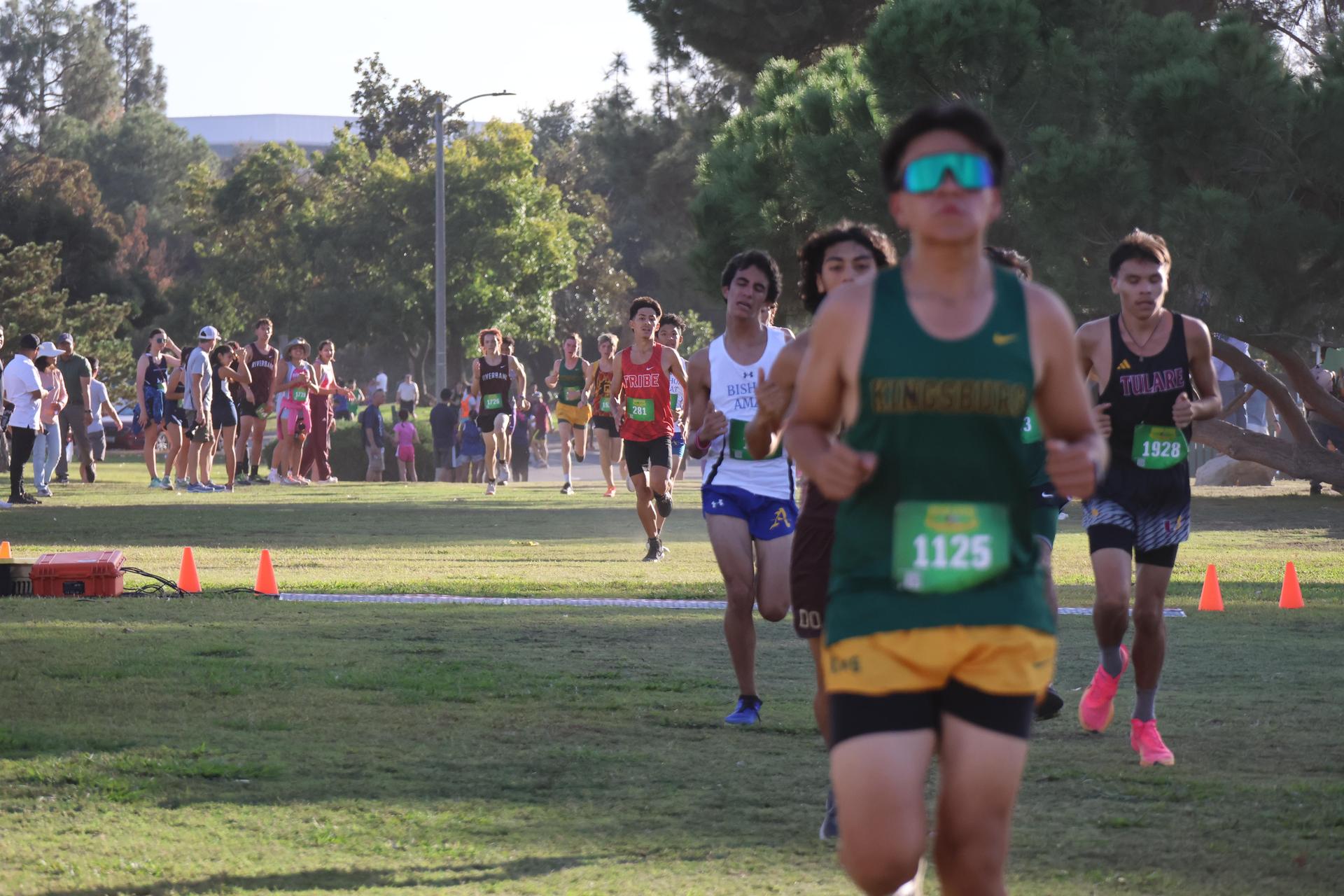 cross country runners in action