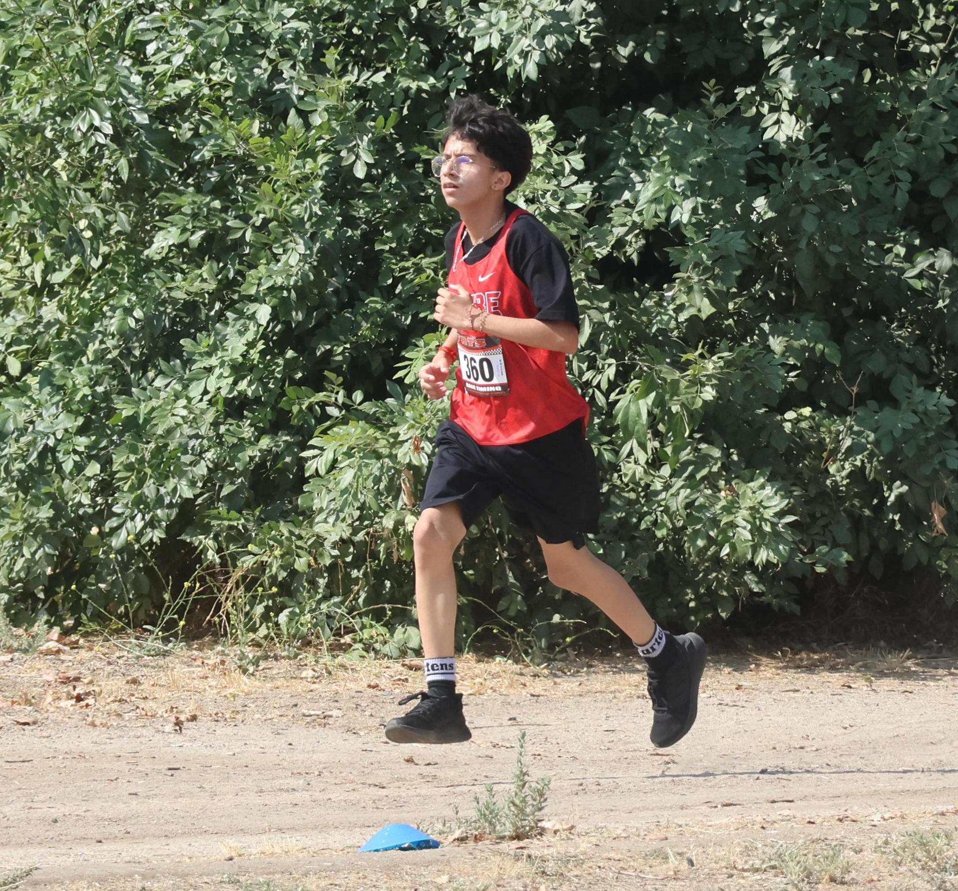 cross country runners in action at woodward park
