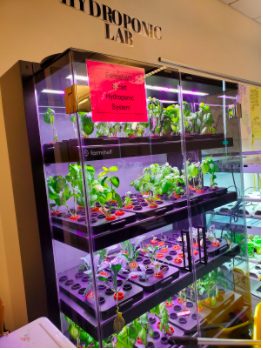 Hydroponic System