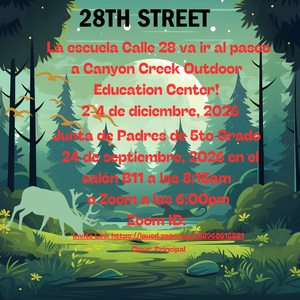 Paseo a Camp Canyon Creek