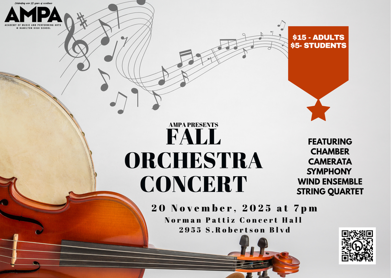 Orchestra concert