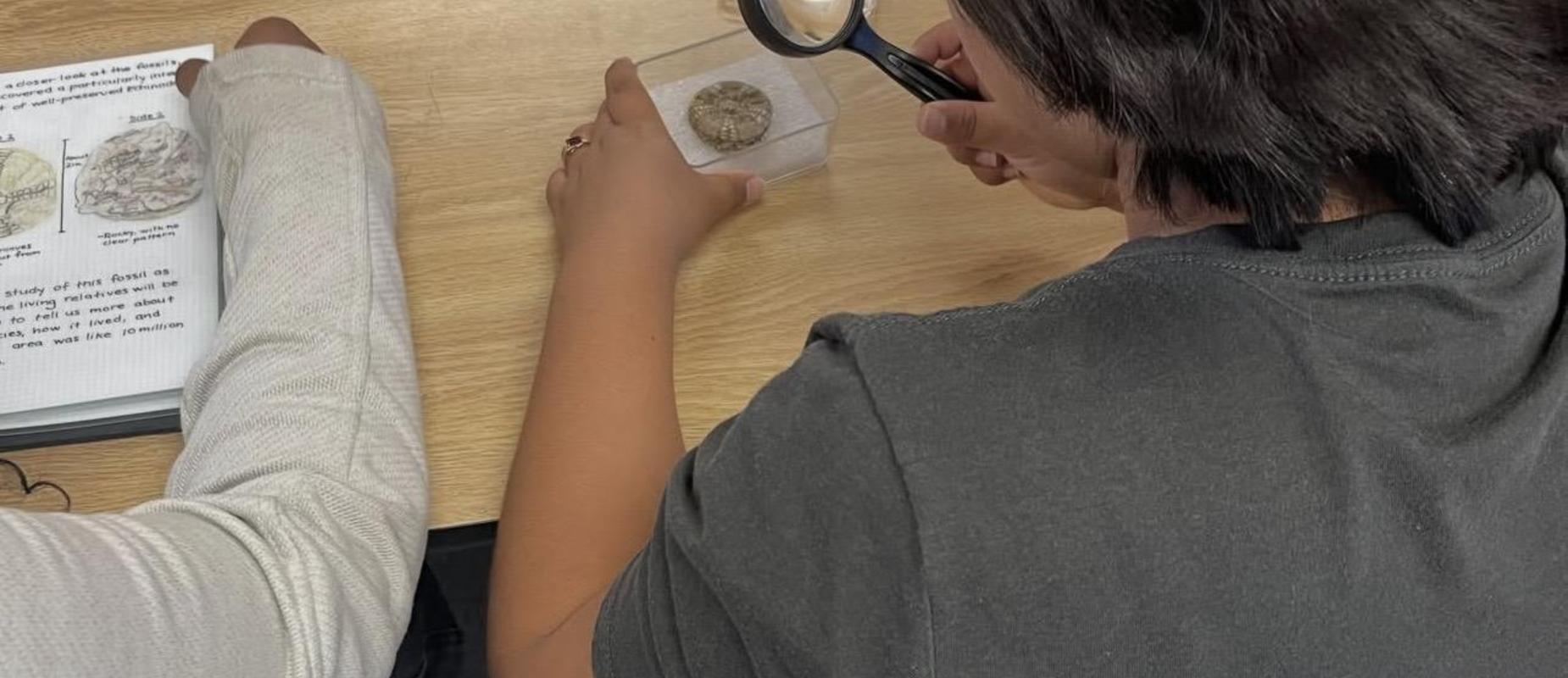 examining fossils