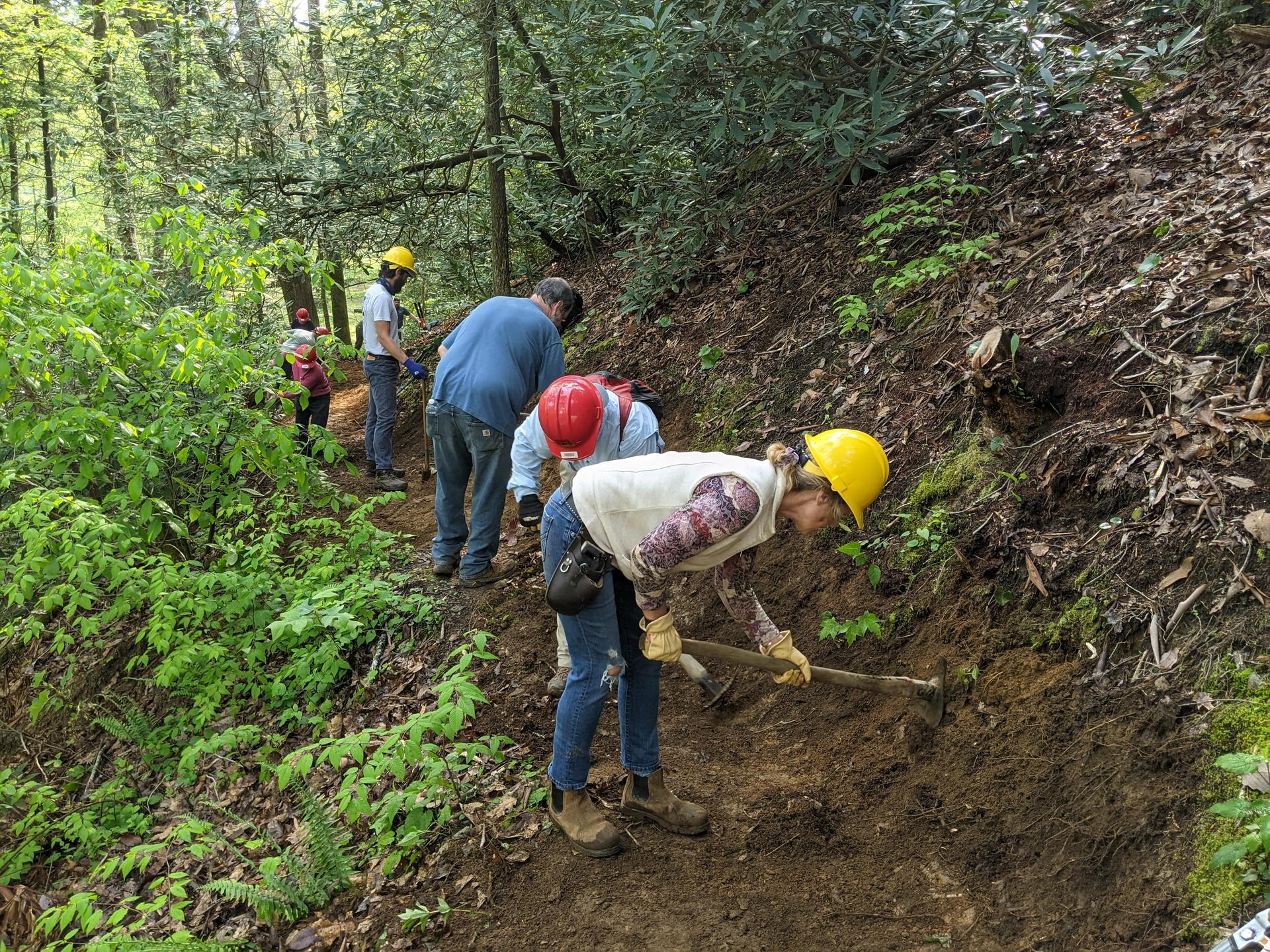 Building Trail
