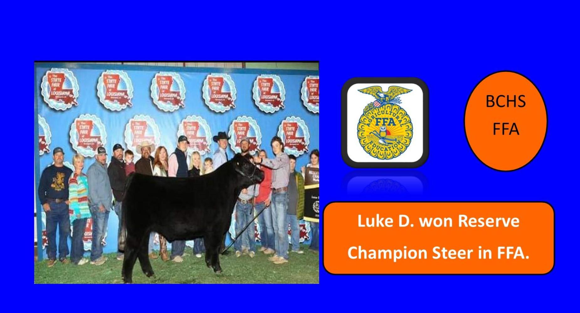 BCHS-FFA - Luke D. won Reserve Champion Steer in FFA.