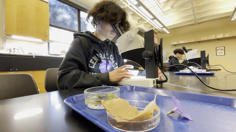 Central Coast Allied Health Tour