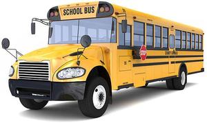 bus