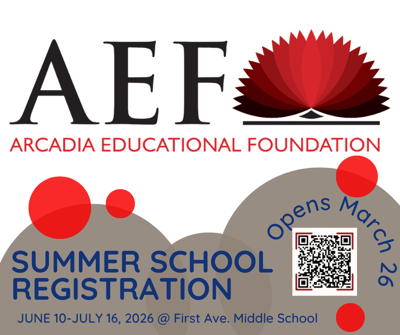 AEF Summer School Registration
