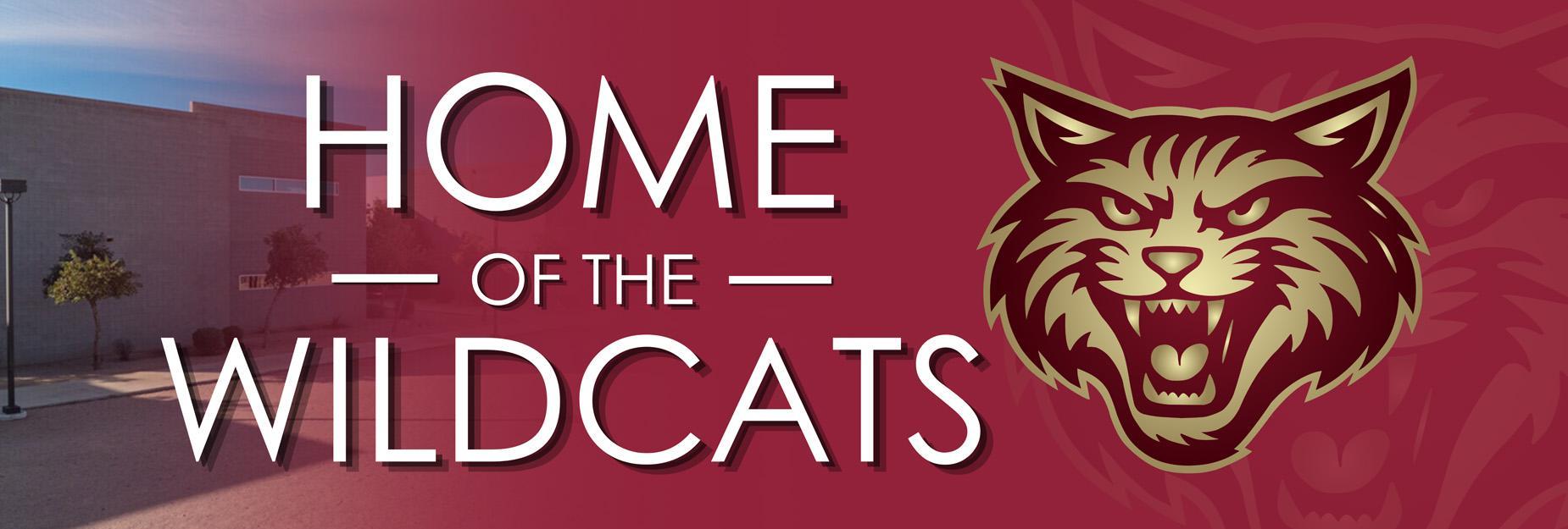 AMS Power mascot image