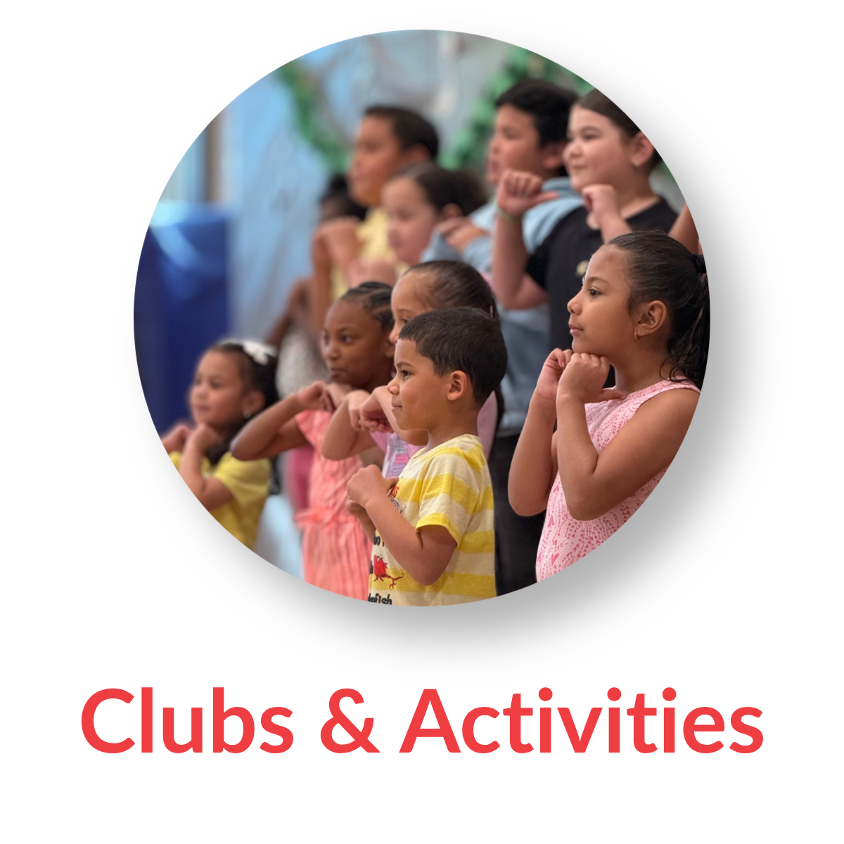 Clubs and activities