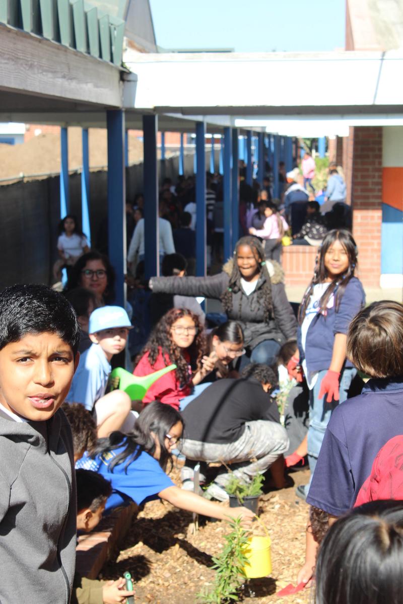 Planting with Teacher