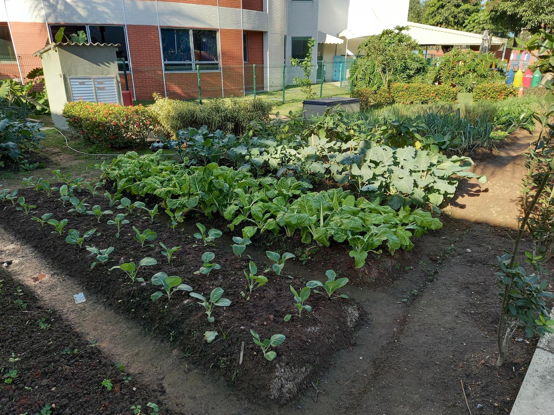 horta