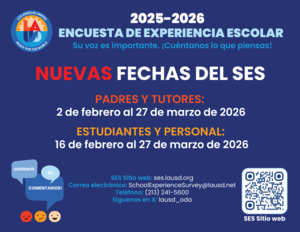 School experience survey spanish