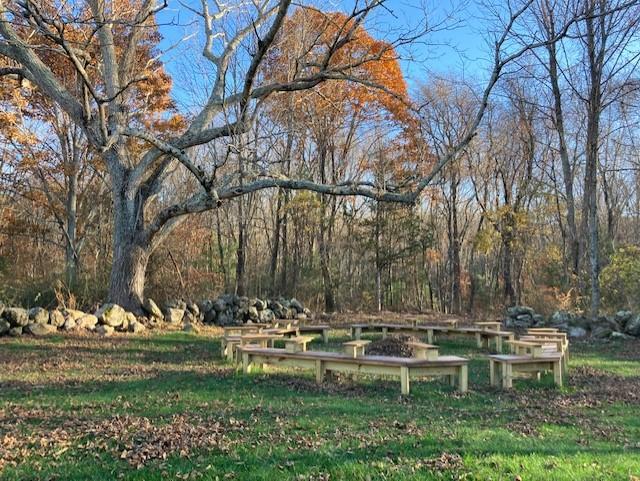 outdoor classroom under black oak tree