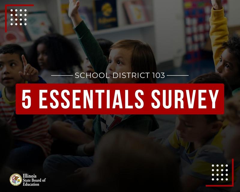 5 Essentials Survey Featured Photo