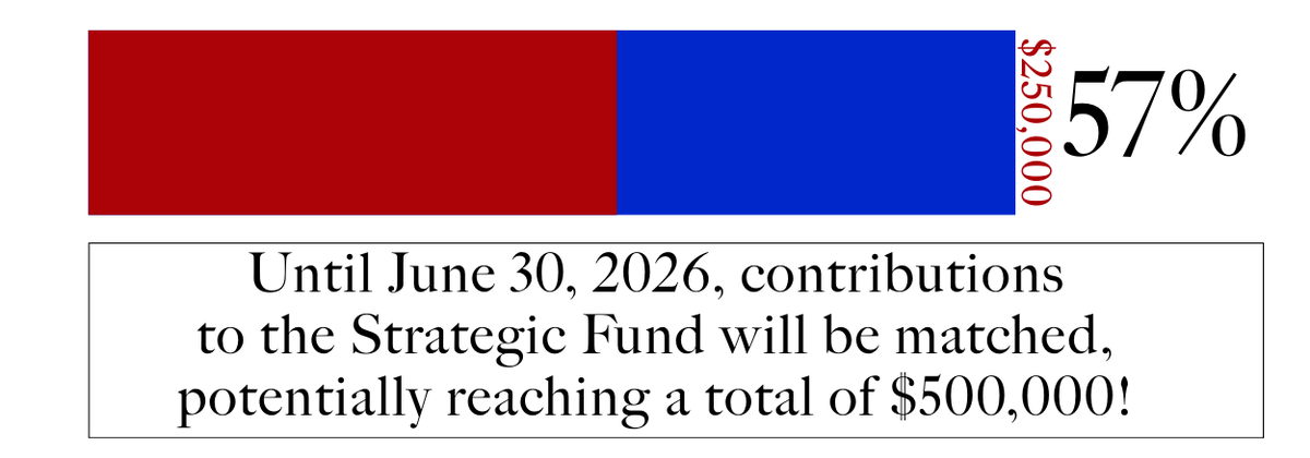 Strategic Fund Progress Bar