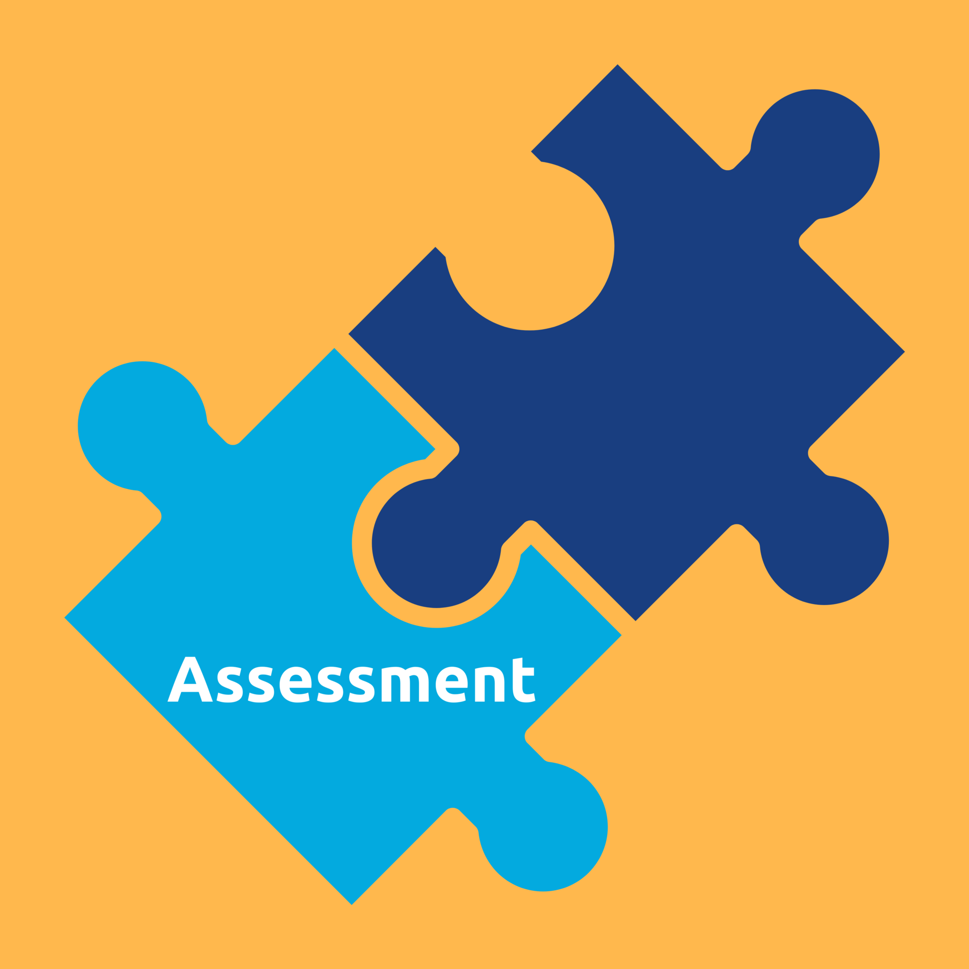 Assessment