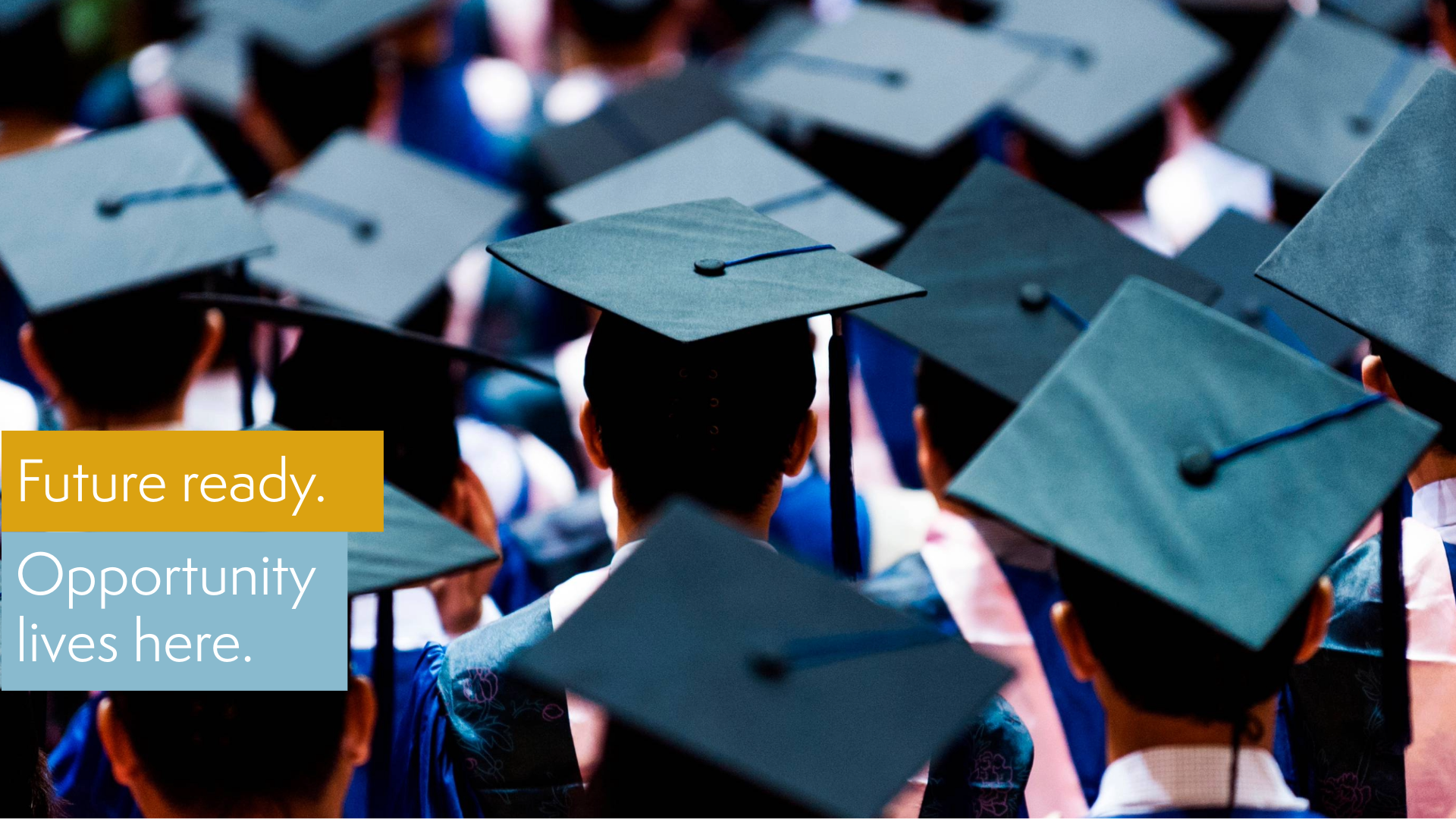 The backs of students at graduation wearing black caps and gowns with text overlay that reads Future ready. Opportunity lives here.