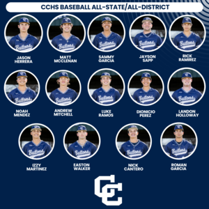 baseball all dsirrct_copy_copy 10109764.png