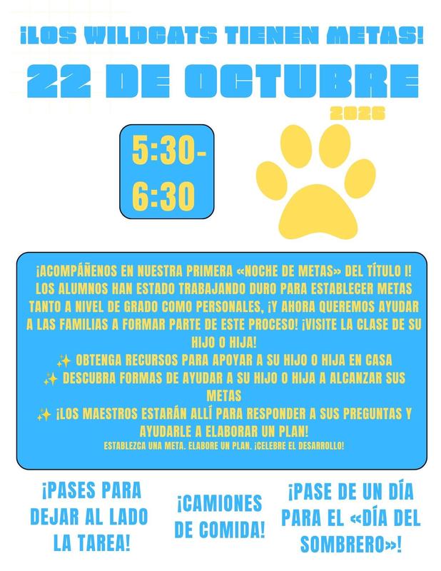 Goal Night Flyer