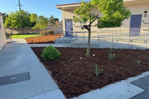 freshly landscaped grounds