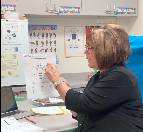 Mrs. D explains
