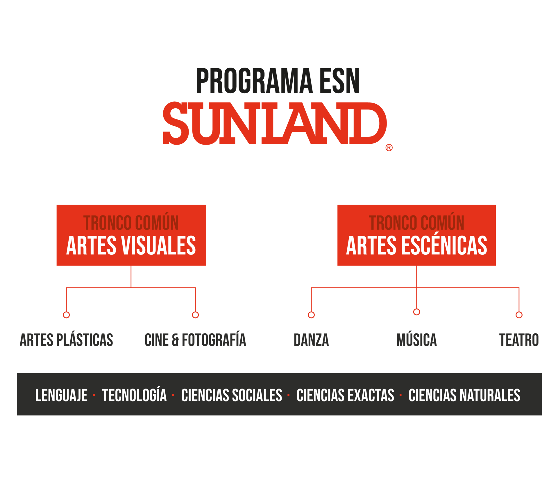 Plan de estudios