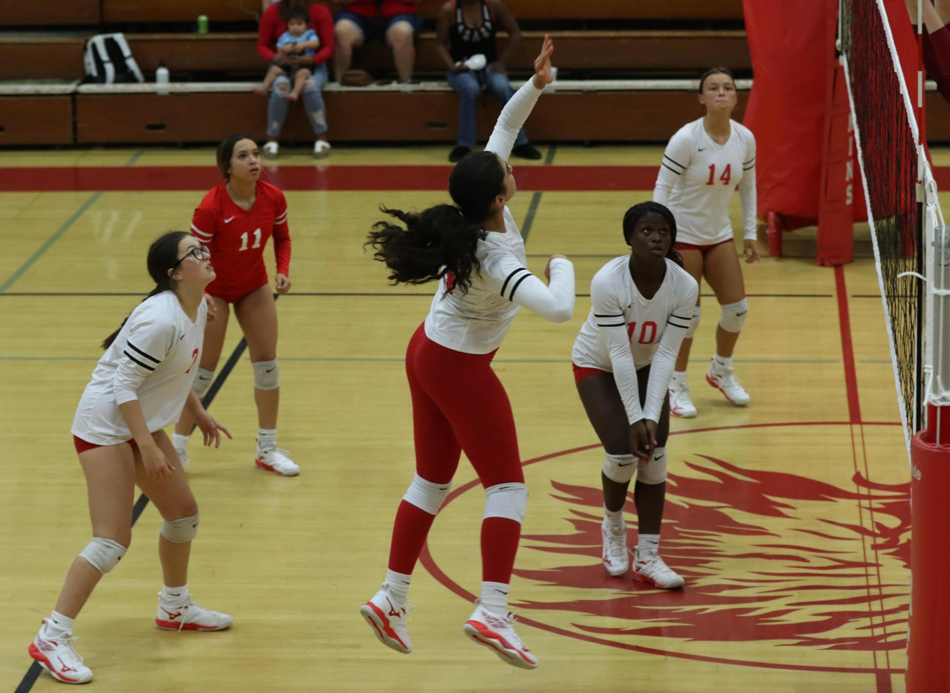 varsity volleyball players in action against golden valley