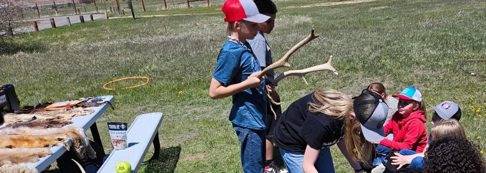 Children interacting with animal pelts outdoors, learning in a grassy area.